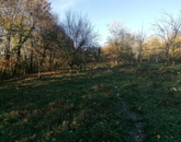 Eladó családi ház Nagykutas 8 000 000 Ft