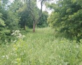 Eladó telek/földterület Verőce 68 900 000 Ft