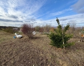 Eladó telek/földterület Keszü 9 900 000 Ft