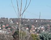 Természet, csend, lakópark