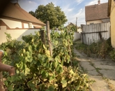 Eladó telek/földterület Baja 19 000 000 Ft