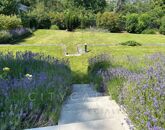 Eladó családi ház Szentendre 250 000 000 Ft