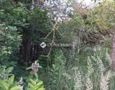 Eladó telek/földterület Jászberény 2 500 000 Ft