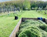 Eladó telek/földterület Várgesztes 6 000 000 Ft