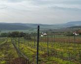 Óbudaváron ÖRÖK PANORÁMÁS zártkert eladó! 5107nm!