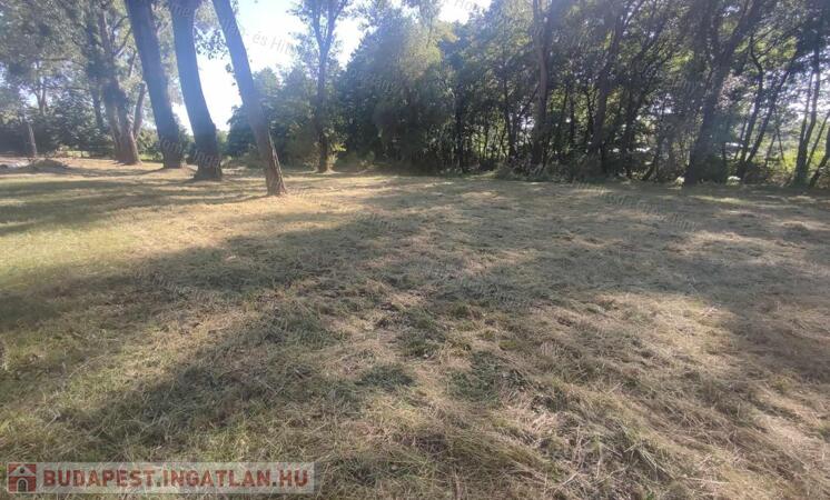 Oroszlány ipari park közelében ELADÓ 10125 nm terület                                 