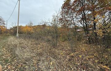 Eladó telek/földterület