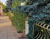 Eladó vendéglátó egység Derekegyház 320 000 000 Ft