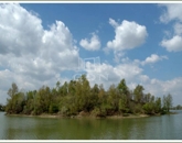 Eladó telek/földterület Délegyháza 690 000 000 Ft