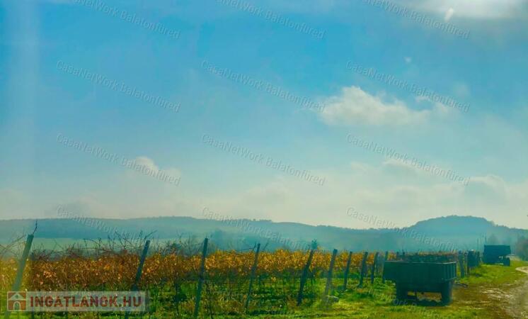 Balatoni panorámás -Szőlős kert
