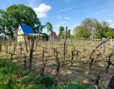 Eladó üdülő/nyaraló Nagyberki 4 500 000 Ft