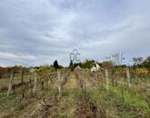 Eladó üdülő/nyaraló Belezna 3 500 000 Ft