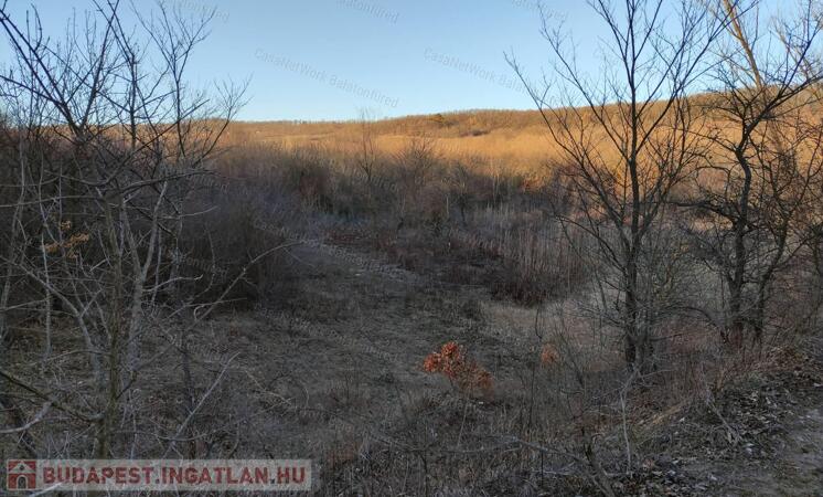 A természet ölelésében                                 