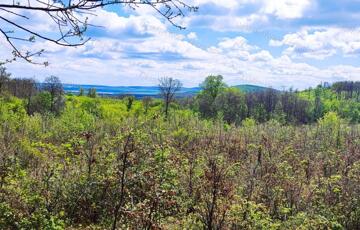 Eladó telek/földterület