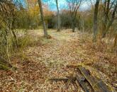 Tóparti halász telek