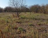 Fejlődő városrész, sokoldalú telek – ragadja meg az alkalmat!