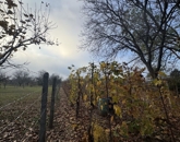 Eladó családi ház Pécs 12 900 000 Ft