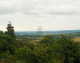 Eladó telek/földterület Szentendre 49 900 000 Ft