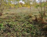 Eladó telek/földterület Szada 81 900 000 Ft