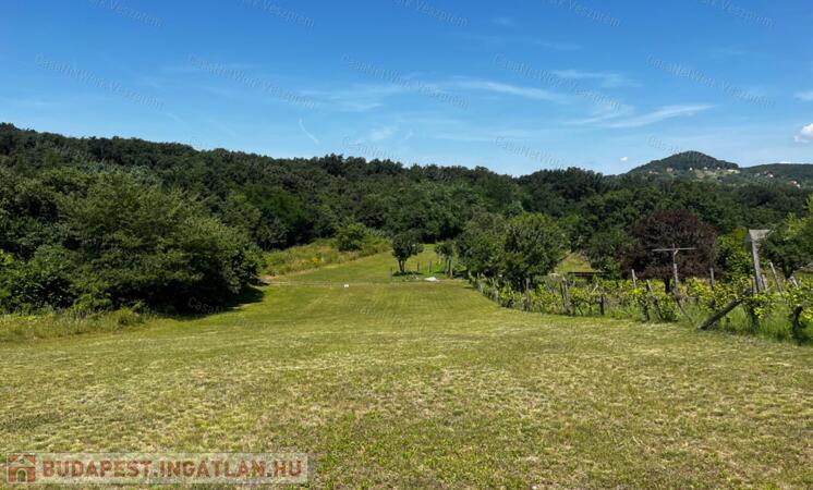 Eladó telek Zánka egyik legnyugodtabb részén!                                 