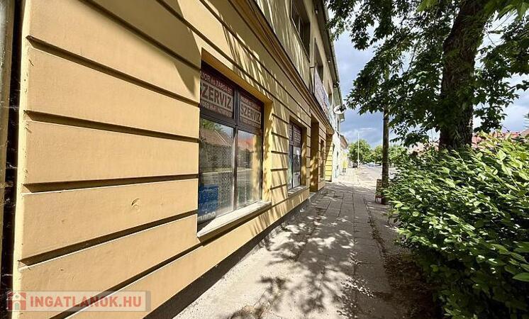 26061