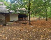 Eladó családi ház Nyárlőrinc 39 000 000 Ft