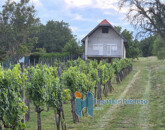 Eladó családi ház Alsópáhok 44 900 000 Ft