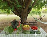 Eladó családi ház Debrecen 39 900 000 Ft