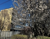 Eladó lakás Budapest II. ker 102 900 000 Ft