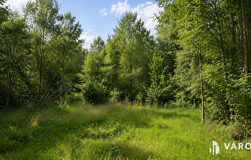 Eladó telek/földterület