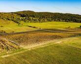 Eladó örök panorámás terület Óbudaváron! 2,3ha!