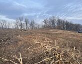 Eladó telek/földterület Balatonszőlős 85 000 000 Ft