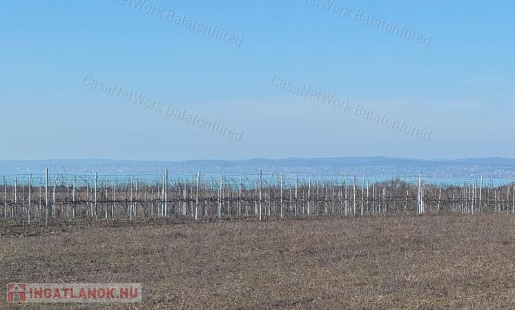 Balatoni panorámás szőlőbirtok eladó Balatonvilágoson - 3000 nm beépítéssel