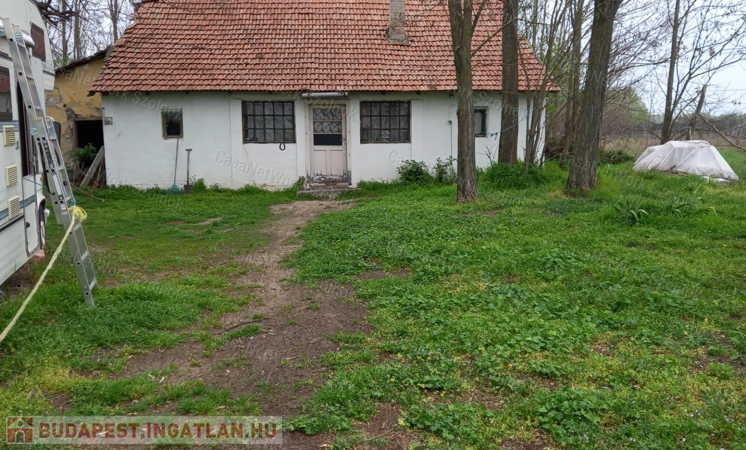 Tanya eladó Csongrád vármegyében.                                 