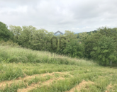 Eladó telek/földterület Zalaegerszeg 6 900 000 Ft