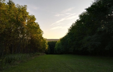 Eladó telek/földterület