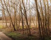 Eladó zöldterület, Tápiószentmárton