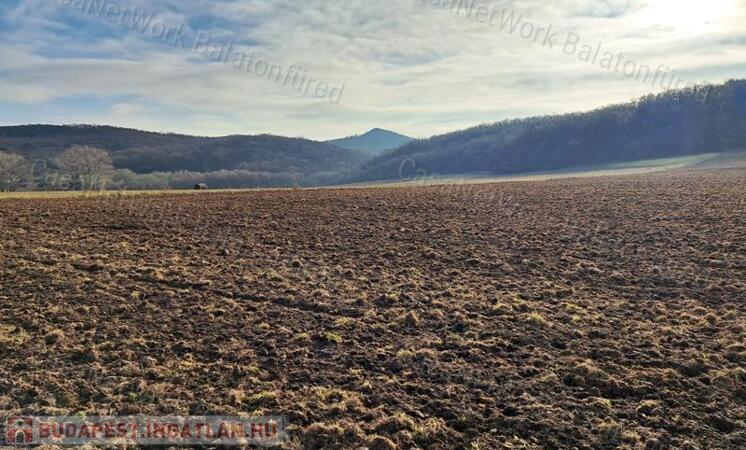 Település közeli-eladó SZÁNTÓ MONOSZLÓN                                 