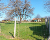 Eladó telek/földterület Zalaegerszeg 17 000 000 Ft