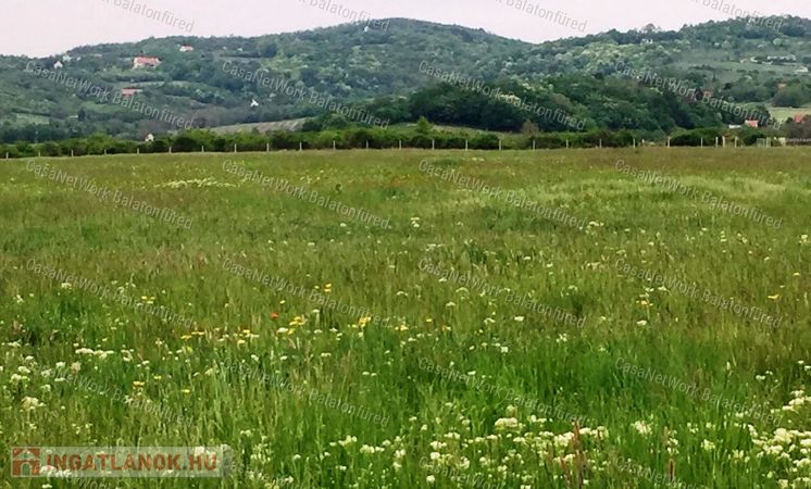 Mezőgazdasági terület ELADÓ Balatonszőlősön