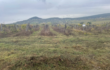 Eladó telek/földterület