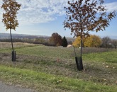 Eladó telek/földterület Egerszalók 15 900 000 Ft