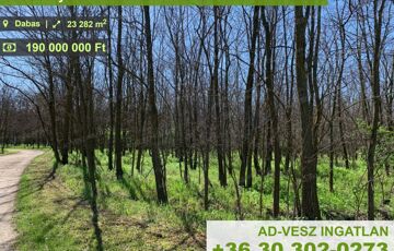 Eladó telek/földterület
