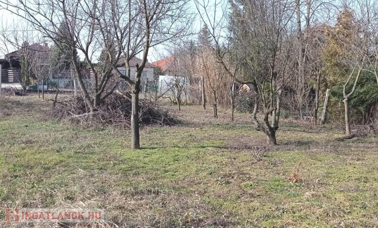 Természet, csend, lakópark