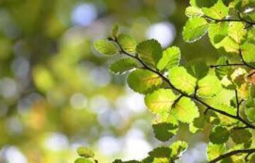 Eladó telek/földterület