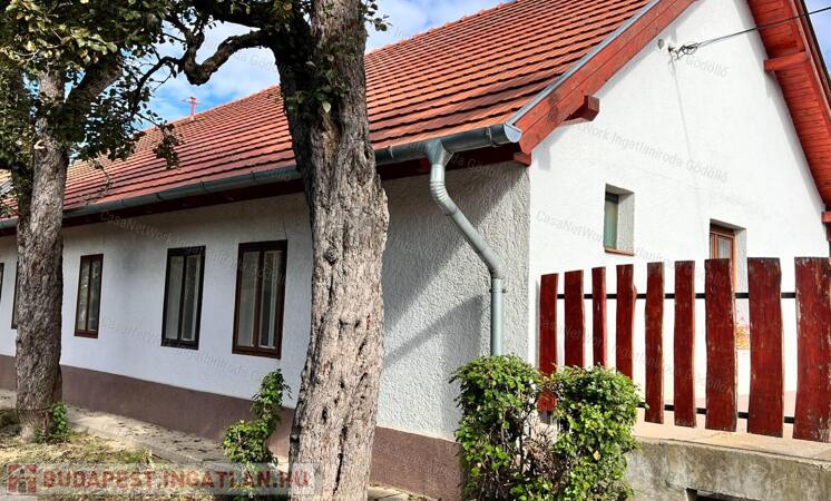 Vályogház, borospince 1 hektáron                                 