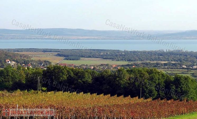 Csodálatos kilátást keresel a Balatonra? MEGTALÁLTAD !!