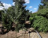 Eladó lakás Nyíregyháza 60 000 000 Ft