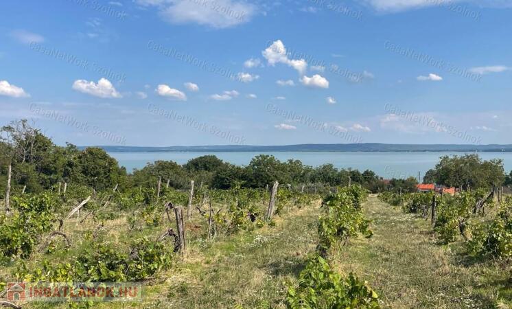 Eladó Balatatonszepezden egy örökpanorámás külterületi telek szőlővel