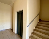 Kiadó lakás Szeged 160 000 Ft